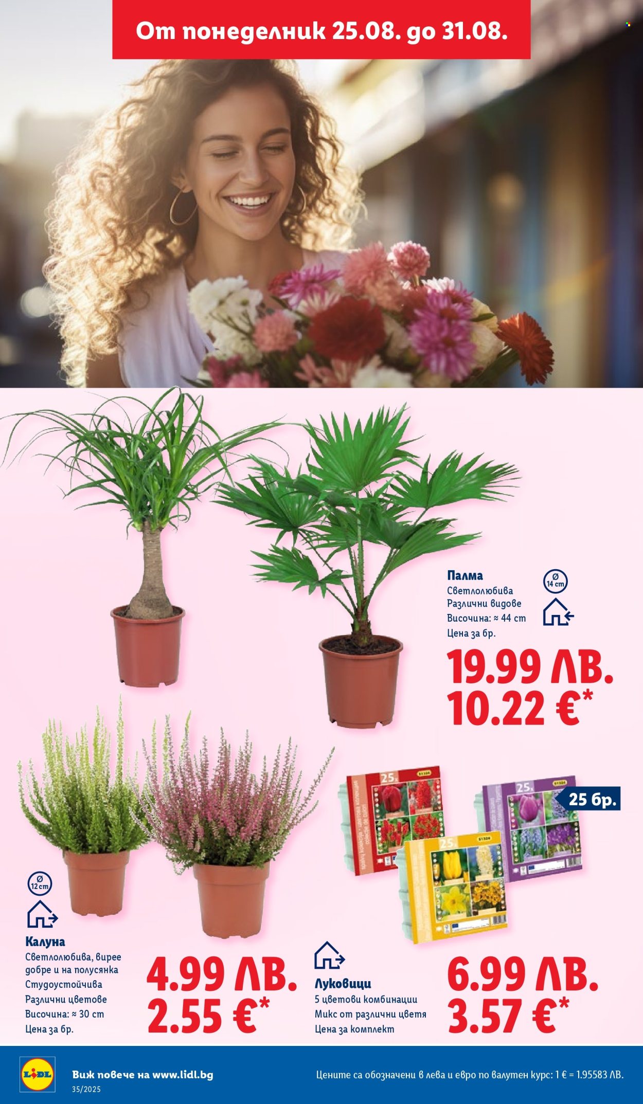Брошура на Лидл - 25.08.2025 - 31.08.2025. Страница 60