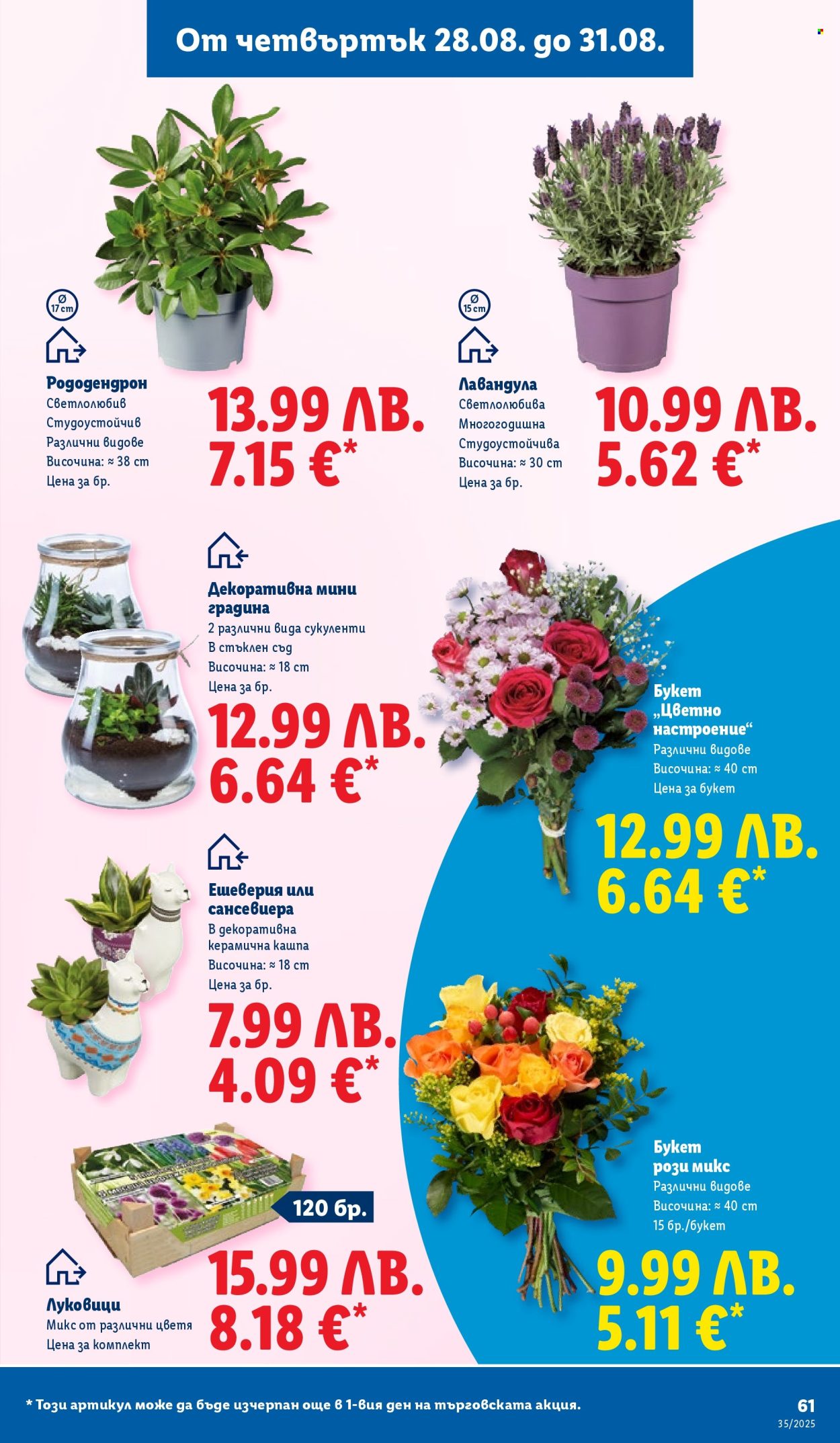 Брошура на Лидл - 25.08.2025 - 31.08.2025. Страница 61