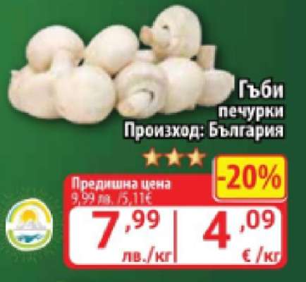 Гъби печурки