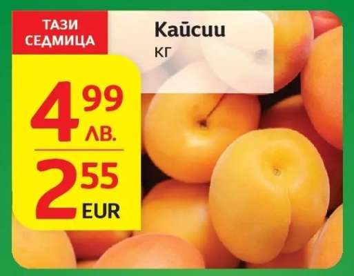 Кайсии