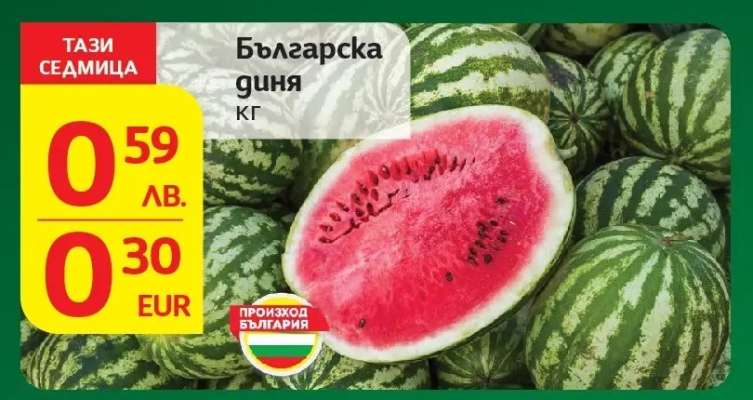Българска диня