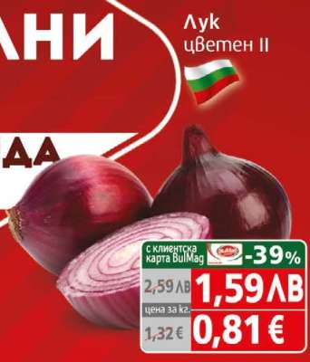 Лук цветен II