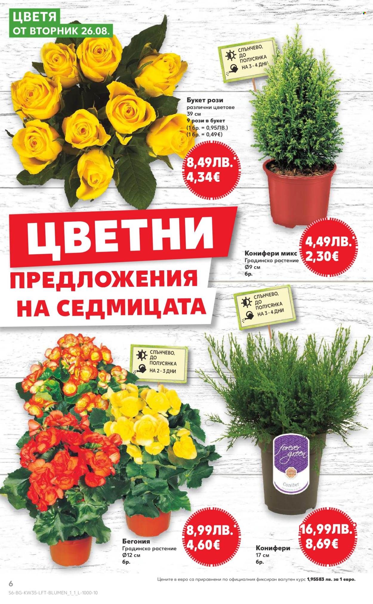 Брошура на Кауфланд - 25.08.2025 - 31.08.2025. Страница 6