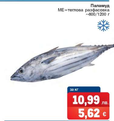 Паламуд