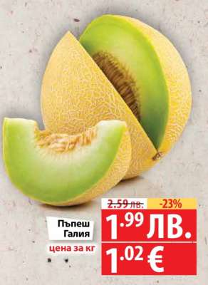 Пъпеш Галия