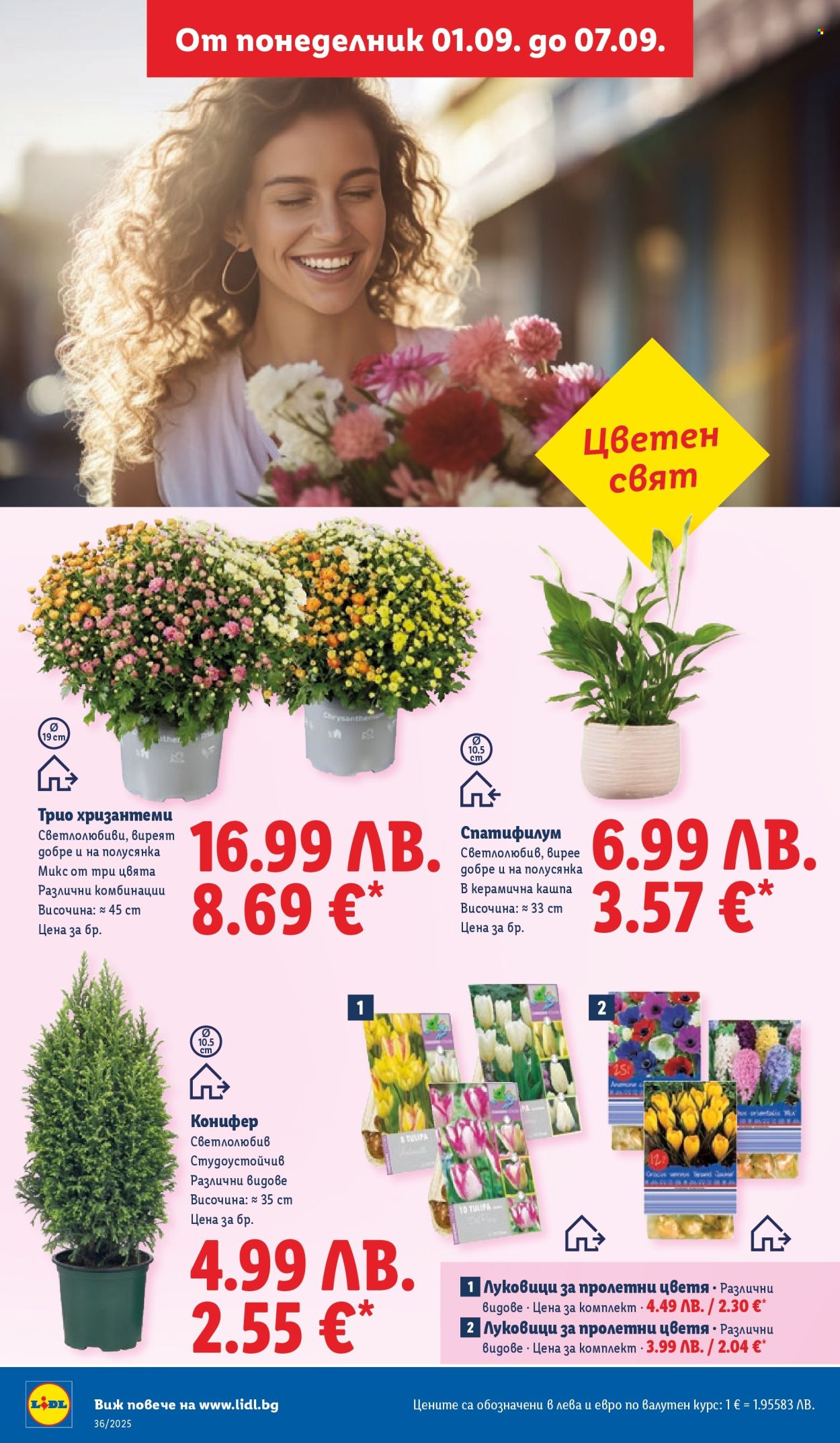 Брошура на Лидл - 01.09.2025 - 07.09.2025. Страница 52