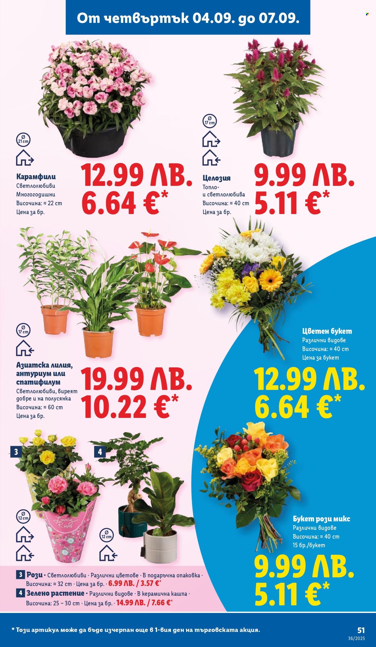 Брошура на Лидл - 01.09.2025 - 07.09.2025. Страница 53