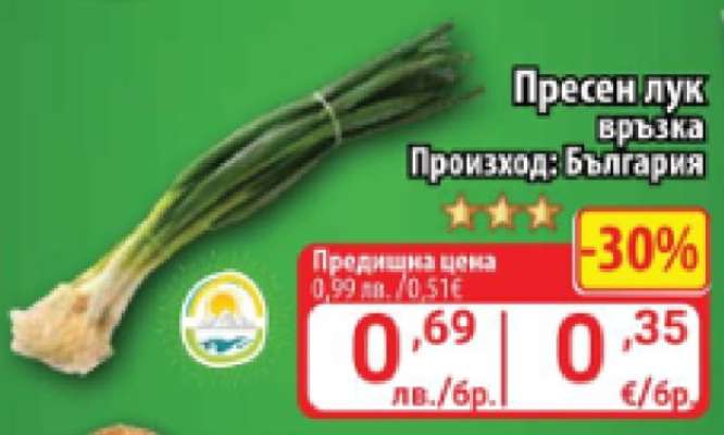 Пресен лук връзка