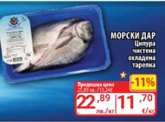МОРСКИ ДАР Ципура