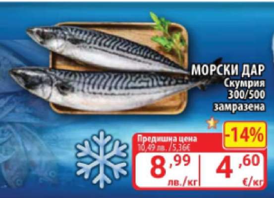 Морски дар Скумрия