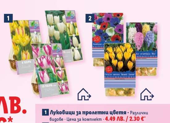 Луковици за пролетни цветя