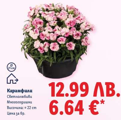 Карамфили