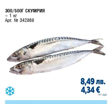 Скумрия