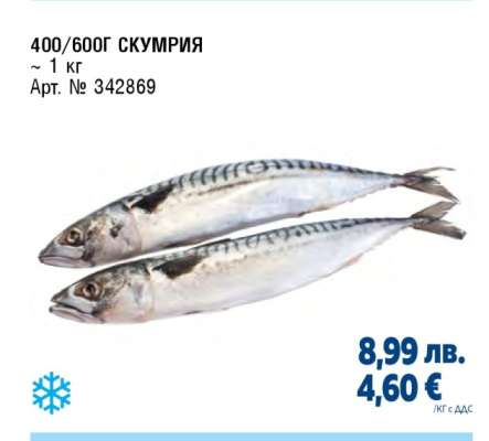400/600Г СКУМРИЯ