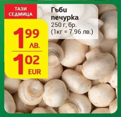 Гъби печурка