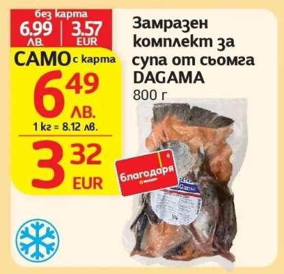 Замразен комплект за супа от сьомга DAGAMA