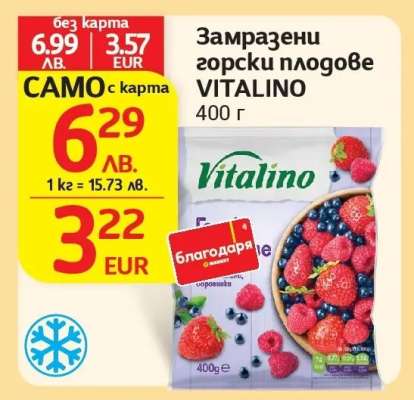 Замразени горски плодове VITALINO