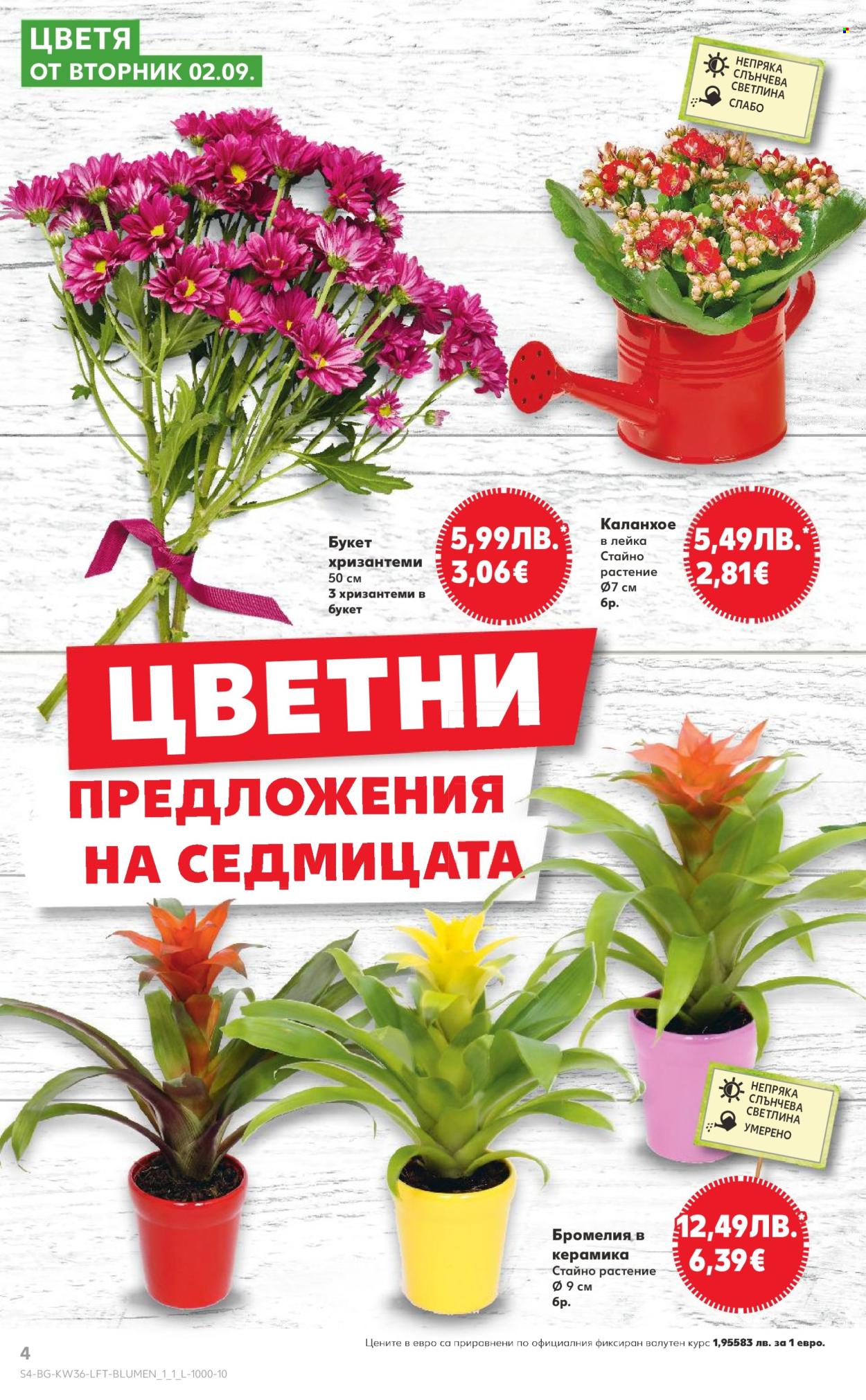 Брошура на Кауфланд - 01.09.2025 - 07.09.2025. Страница 4