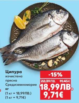 Ципура