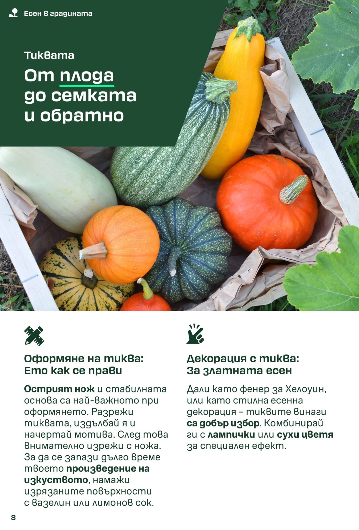 Брошура на Лидл. Страница 8