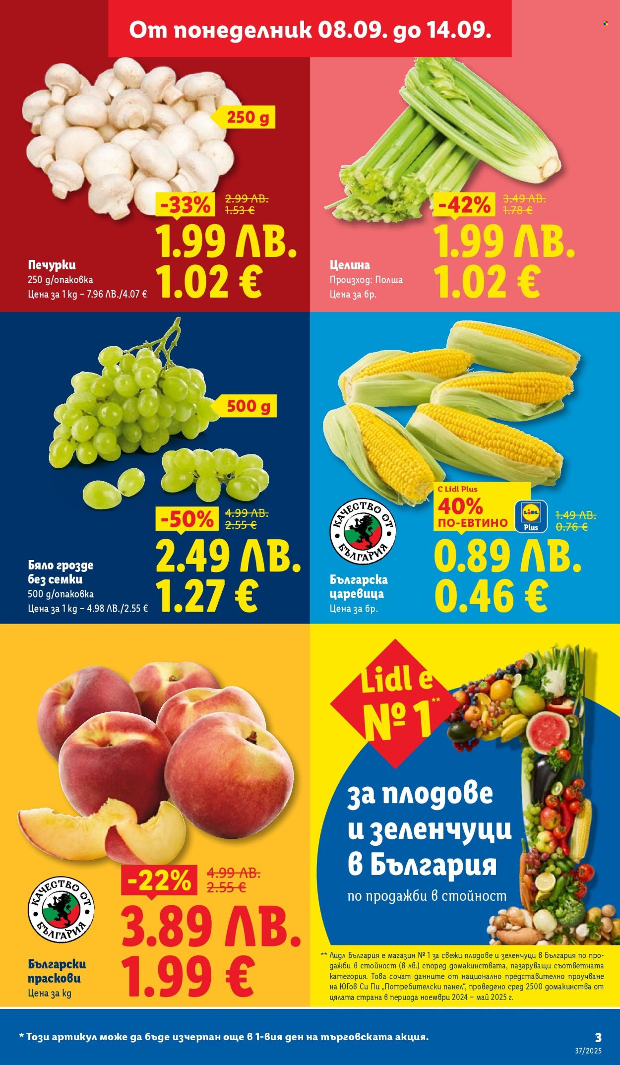 Брошура на Лидл - 08.09.2025 - 14.09.2025. Страница 3