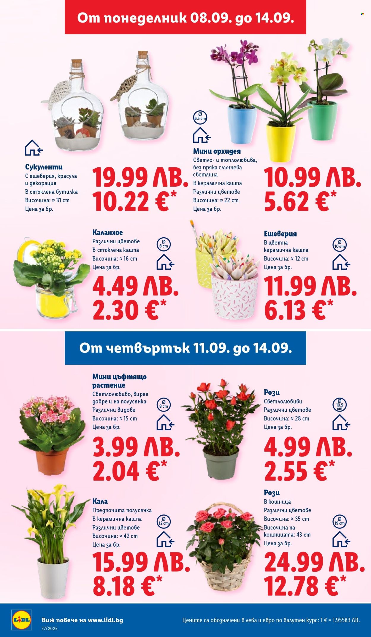 Брошура на Лидл - 08.09.2025 - 14.09.2025. Страница 46