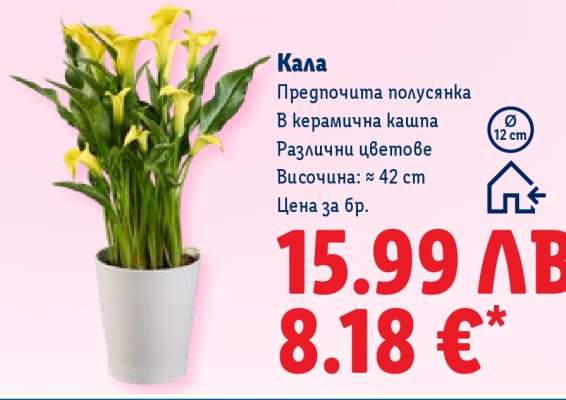 Кала