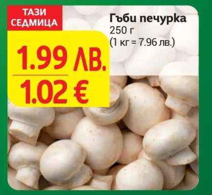 Гъби печурка