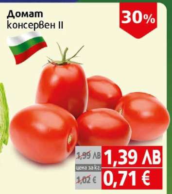 Домати консервен II