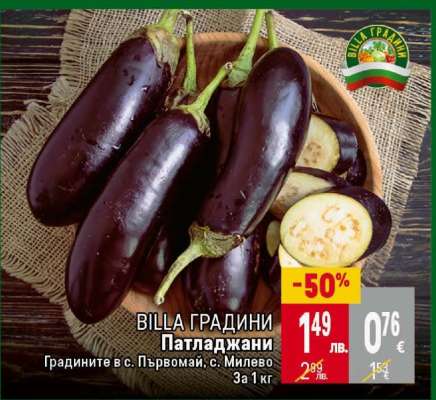 Патладжани