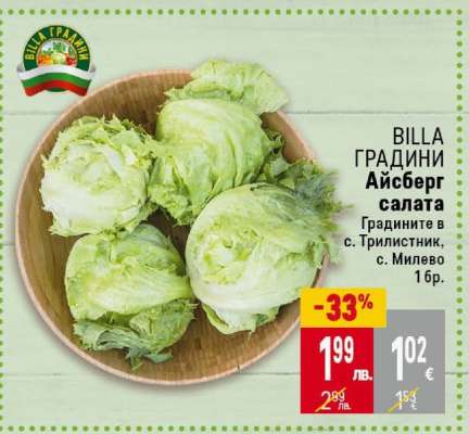 Айсберг салата