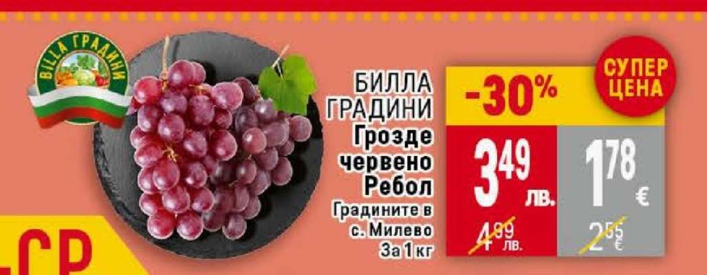Грозде червено Ребол