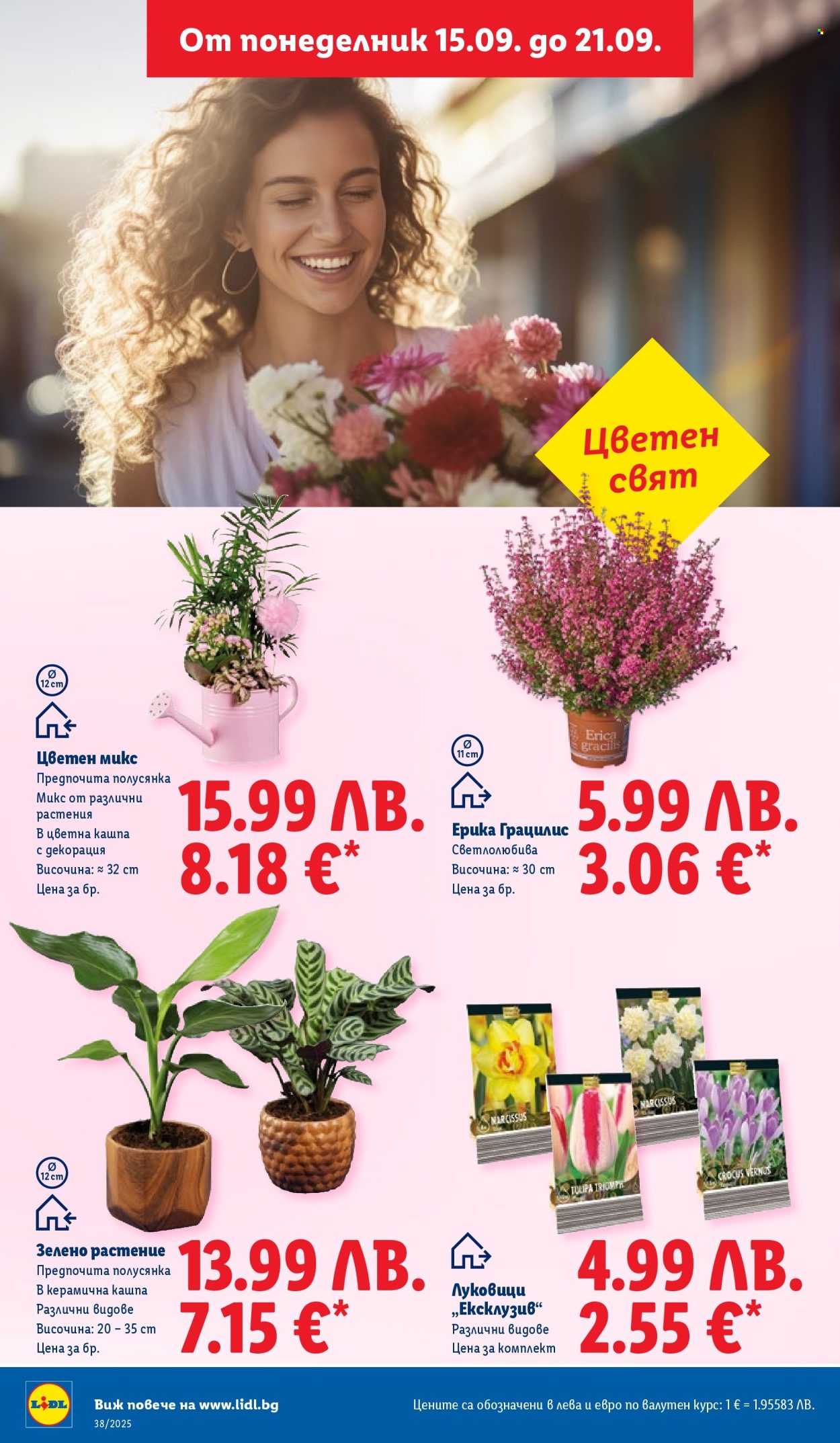 Брошура на Лидл - 15.09.2025 - 21.09.2025. Страница 50