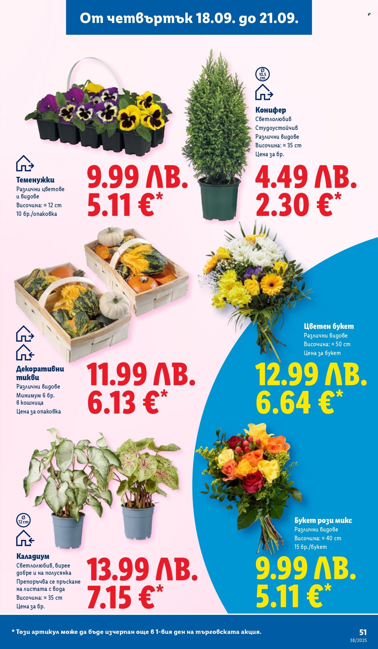 Брошура на Лидл - 15.09.2025 - 21.09.2025. Страница 51