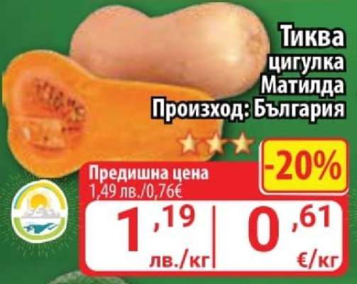 Тиква цигулка Матилда