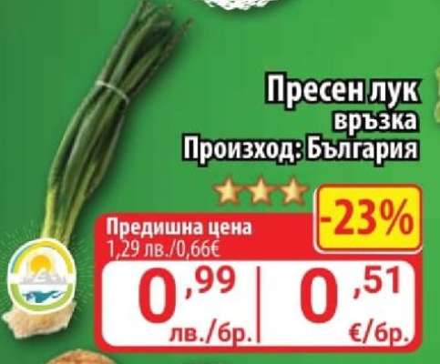 Пресен лук връзка