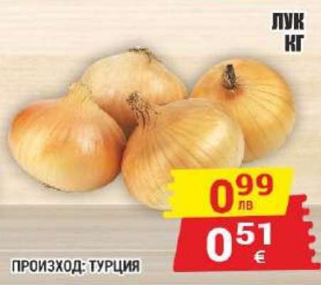Лук