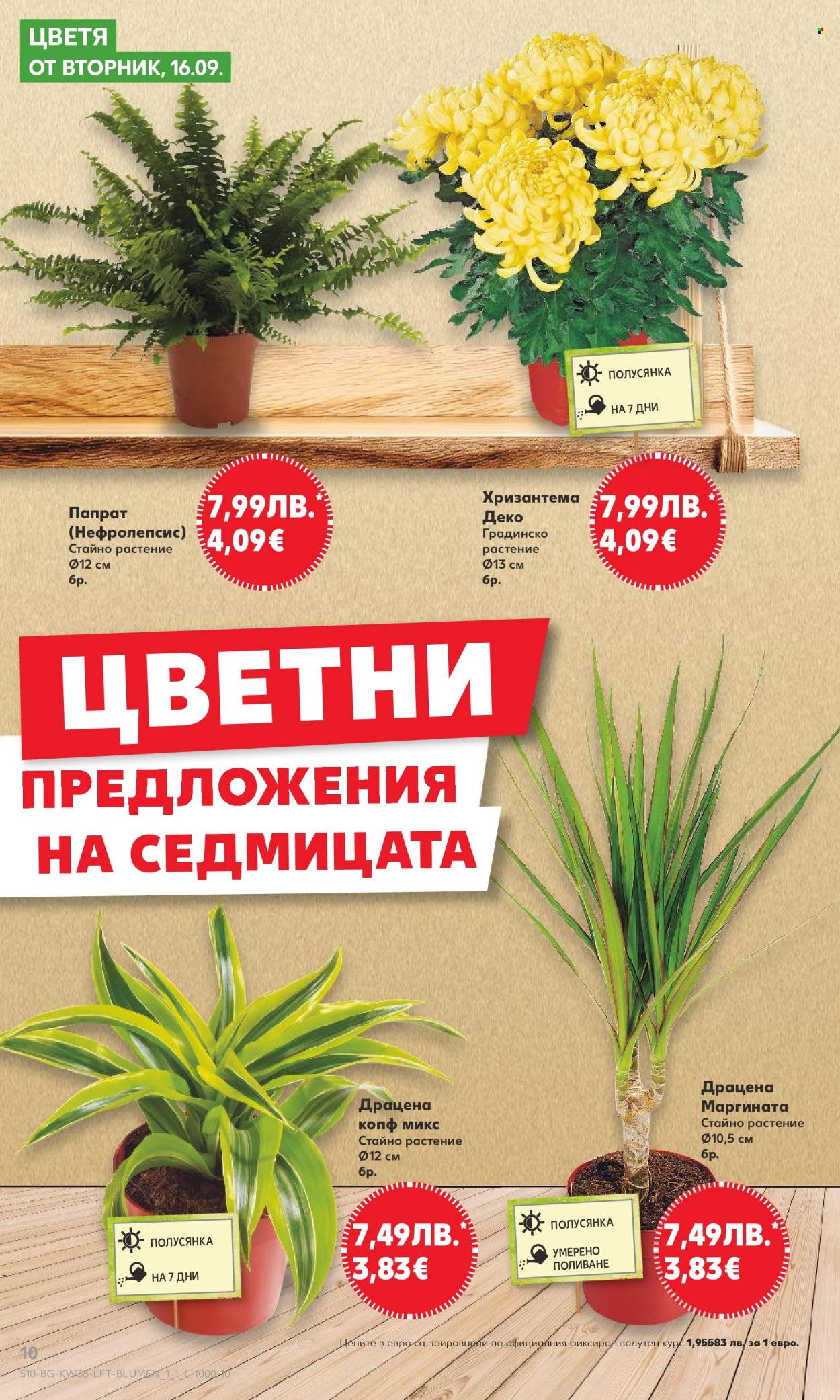 Брошура на Кауфланд - 15.09.2025 - 21.09.2025. Страница 10