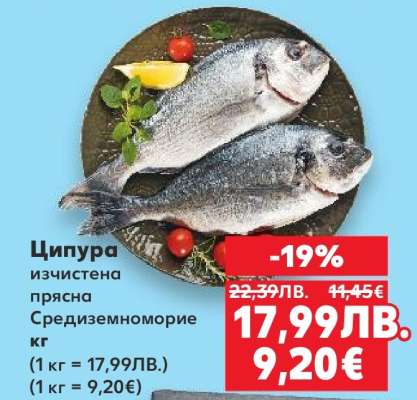 Ципура