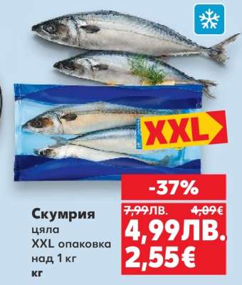 Скумрия
