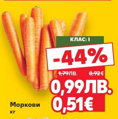 Моркови