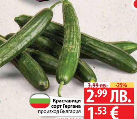 Краставици сорт Гергана