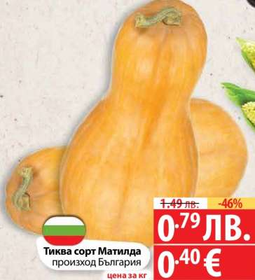 Тиква сорт Матилда