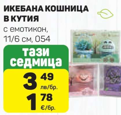 ИКЕБАНА КОШНИЦА В КУТИЯ