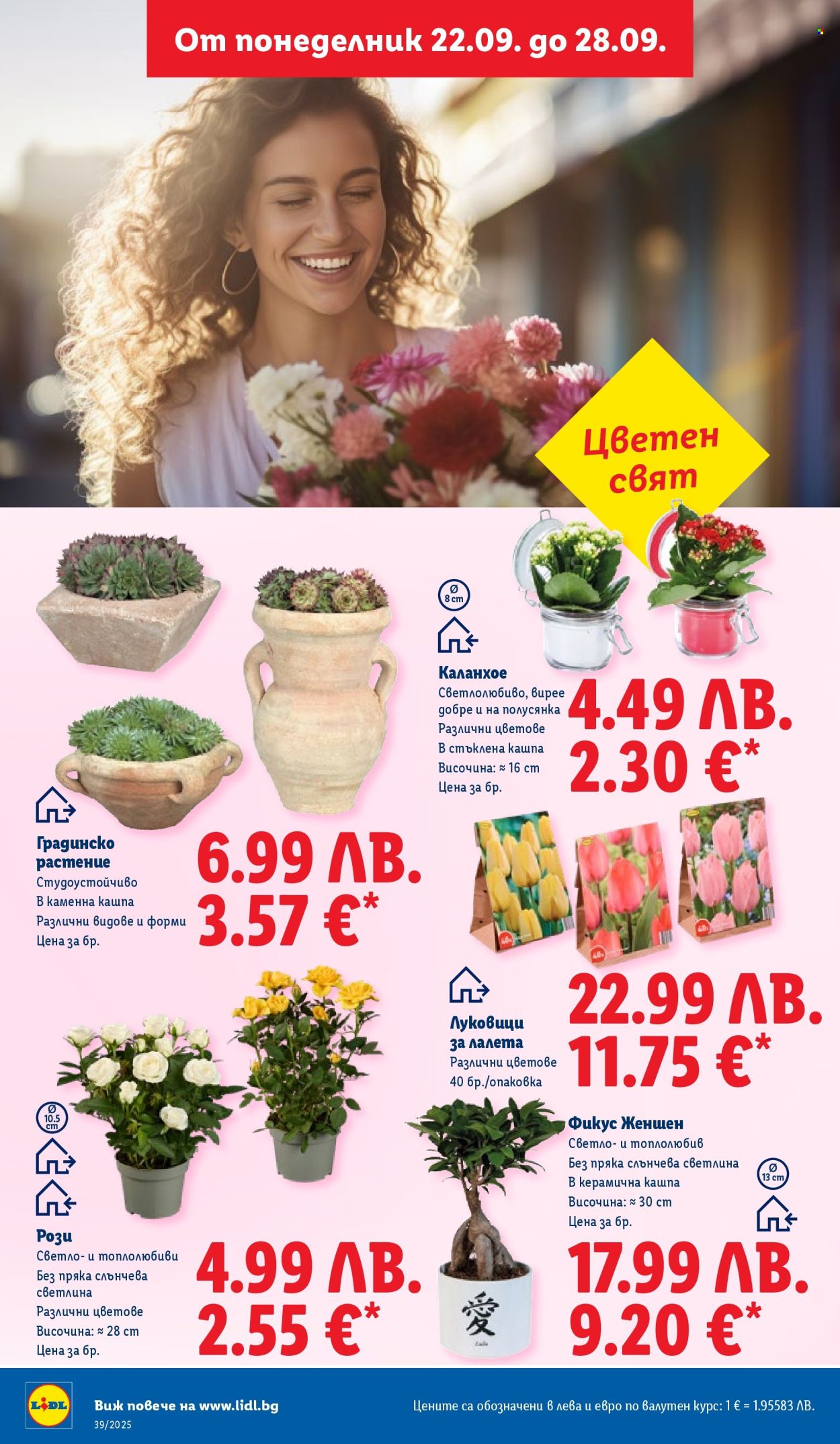 Брошура на Лидл - 22.09.2025 - 28.09.2025. Страница 54