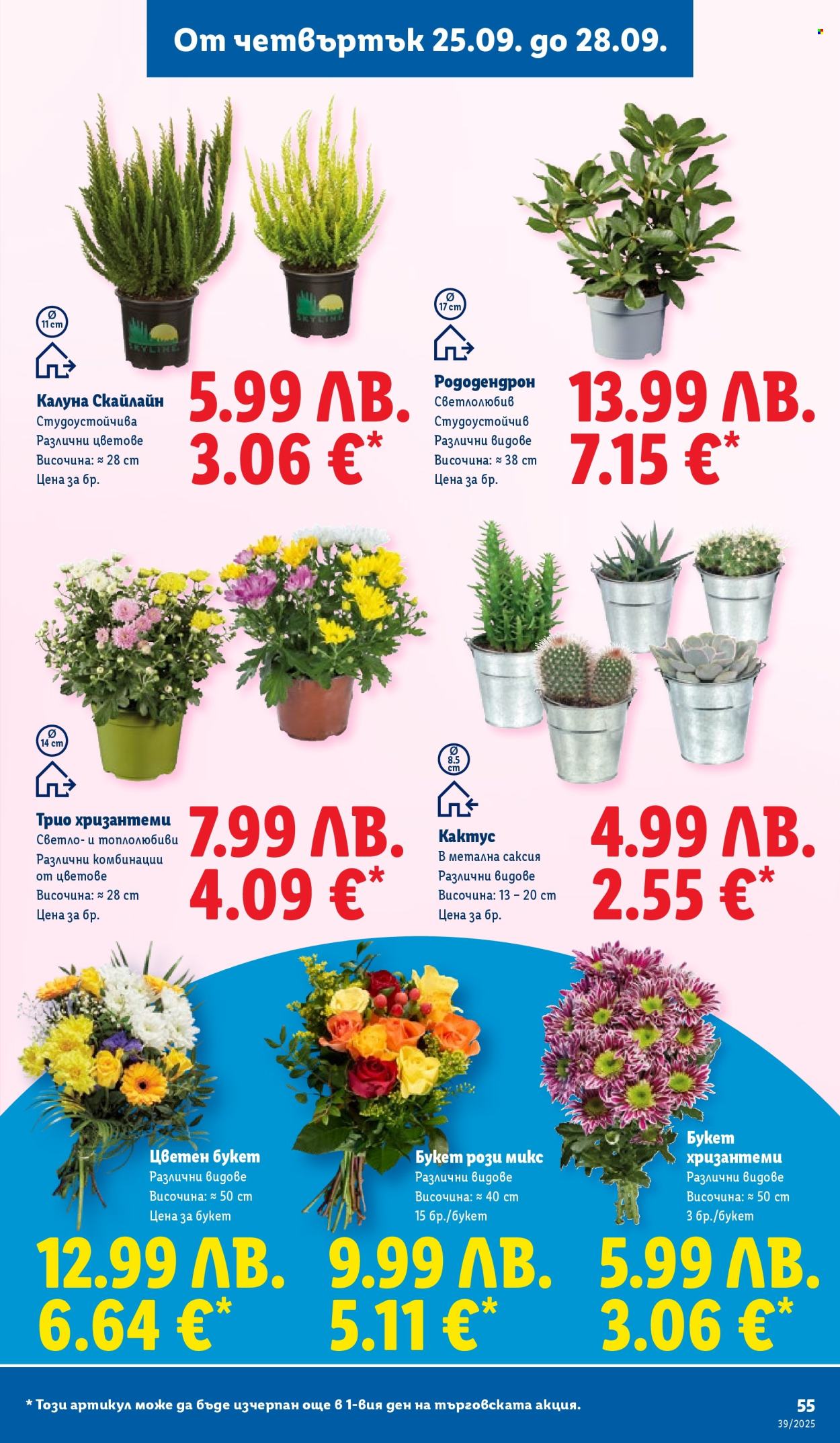 Брошура на Лидл - 22.09.2025 - 28.09.2025. Страница 55