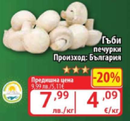 Гъби печурки