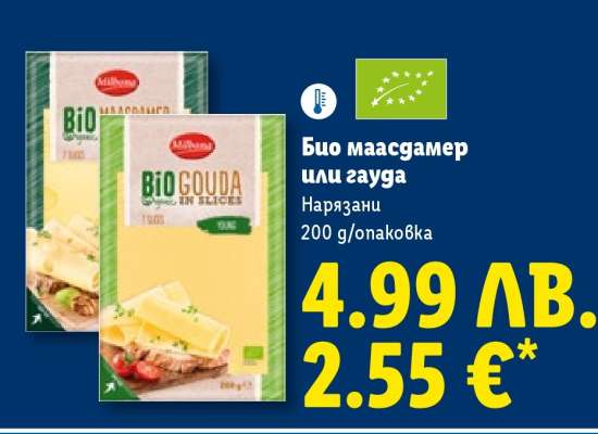 Био маасдамер или гауда