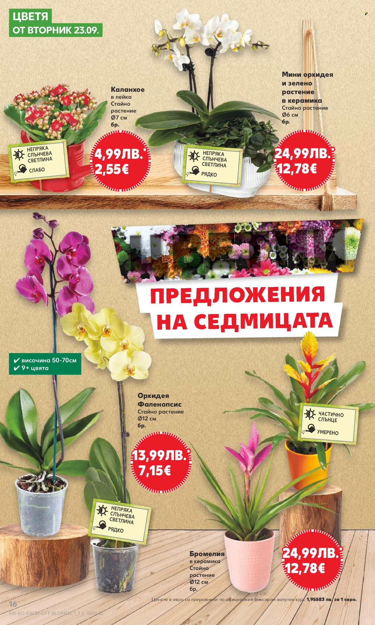 Брошура на Кауфланд - 22.09.2025 - 28.09.2025. Страница 16