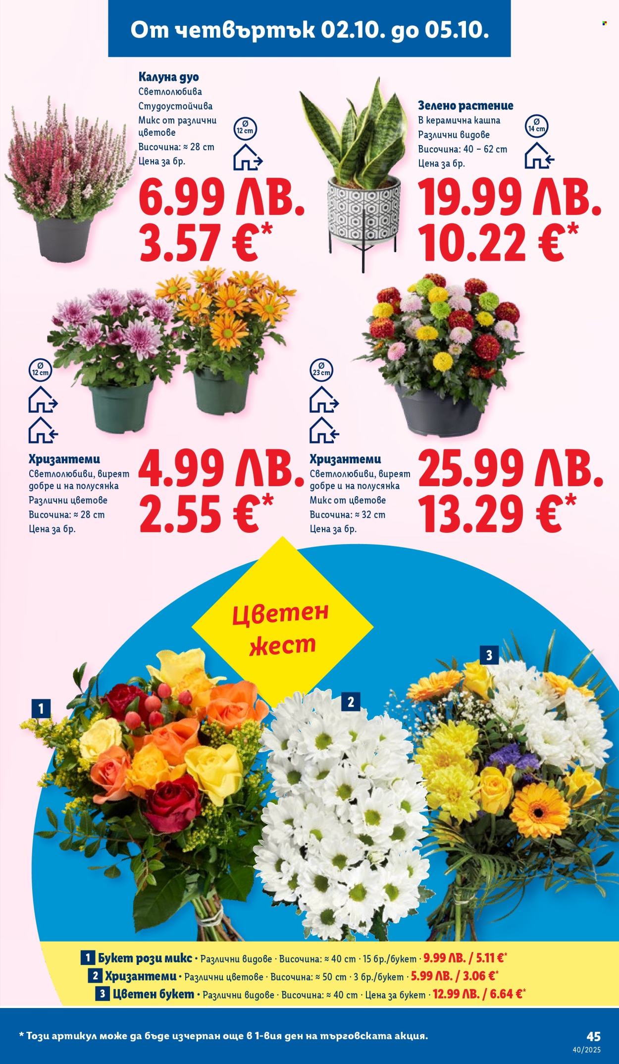 Брошура на Лидл - 29.09.2025 - 05.10.2025. Страница 45